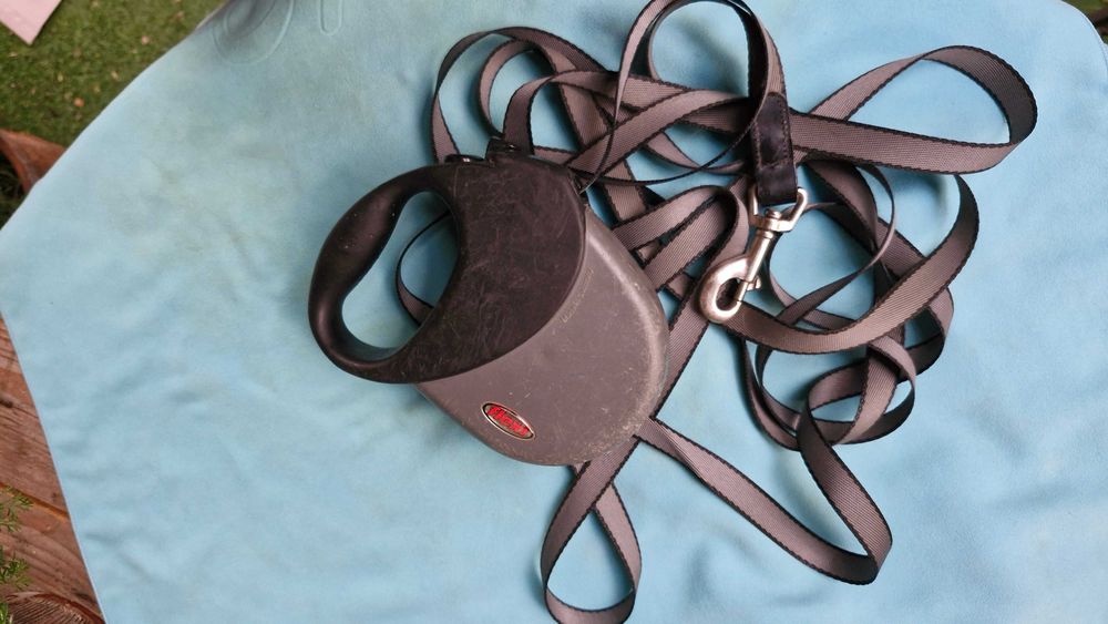 Smycz automatyczna Flexi Comfort Compact, 5 metrów (taśma), Łódź