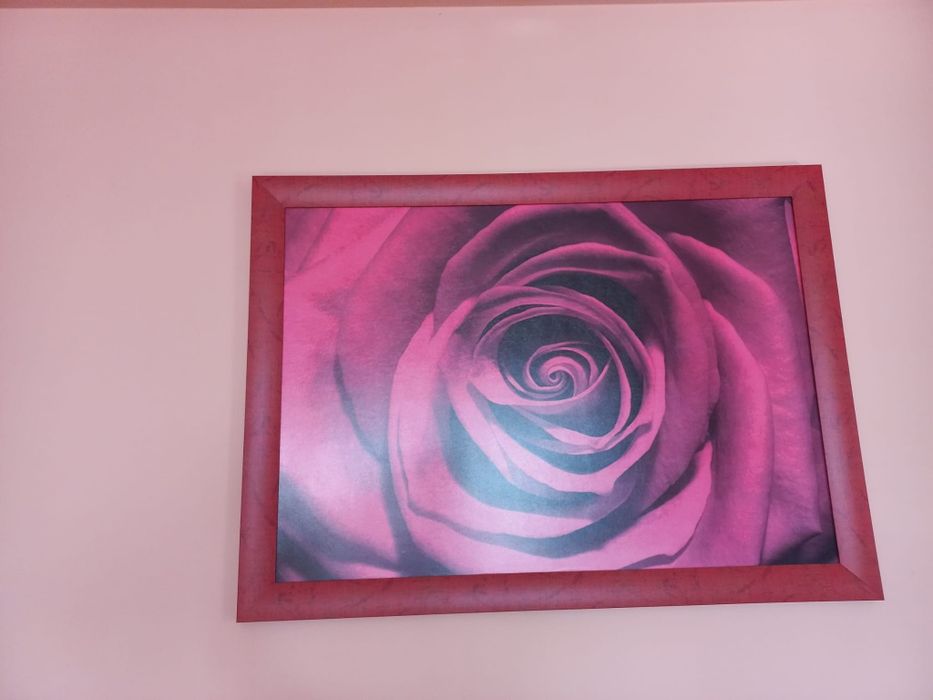 Obraz róża 110×81 cm
