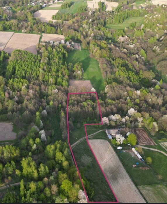 2.6 Ha duża działka 5 działek media sad siedlisko Wola Rafalowska