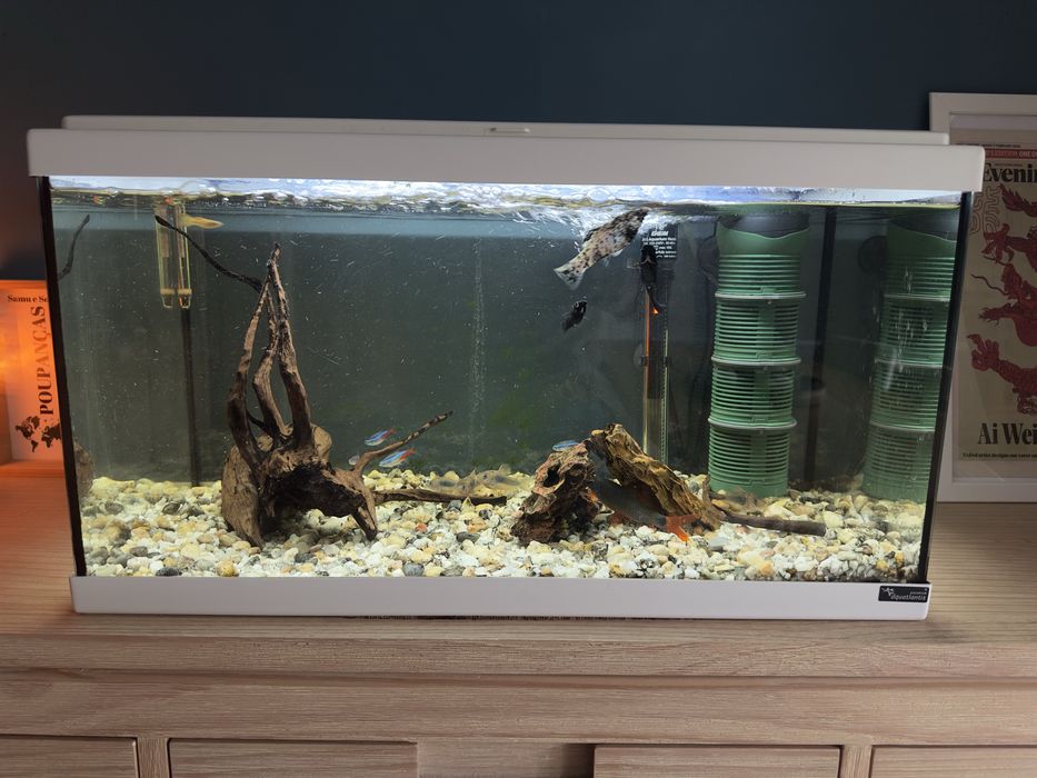 Vendo Aquario 60 L