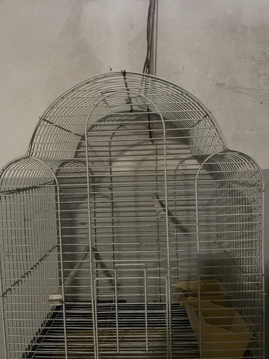 Gaiola Passaro.