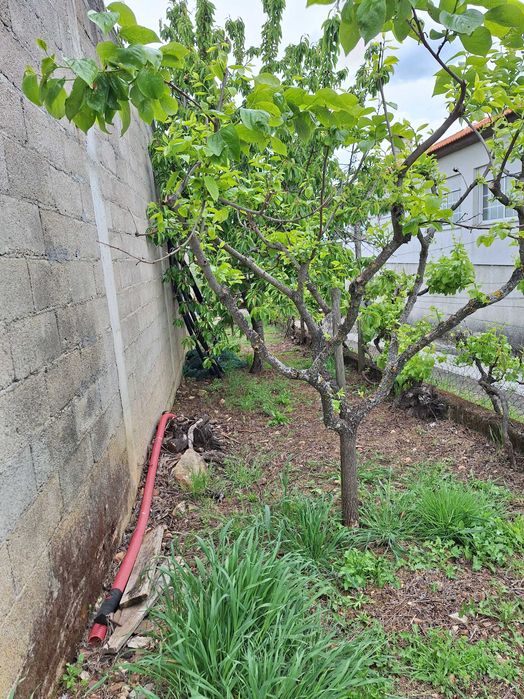 Vende-se Lote para Habitação com garagem feita