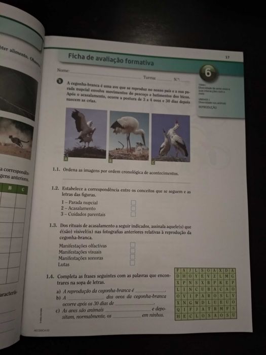 CSI / Ciências sob Investigação - Ciências 5.º ano