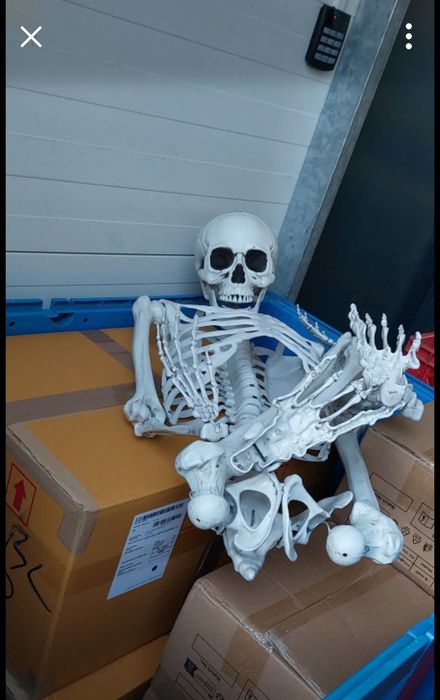 Tanio i solidnie!!! Busy 8 palet, wózki schodolazy. Bezszkodowo.