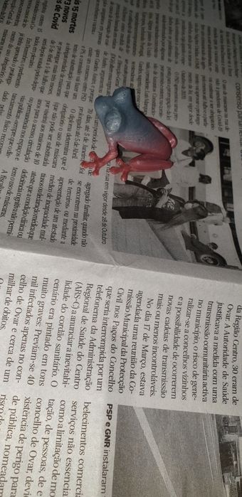 Ra colorida para decoração