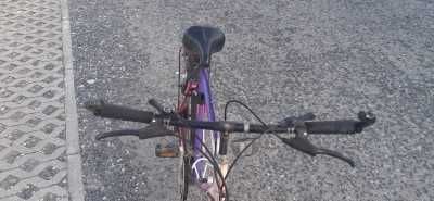 Bicicleta adulto