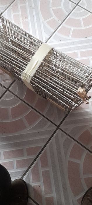 Varios materiais para passarada