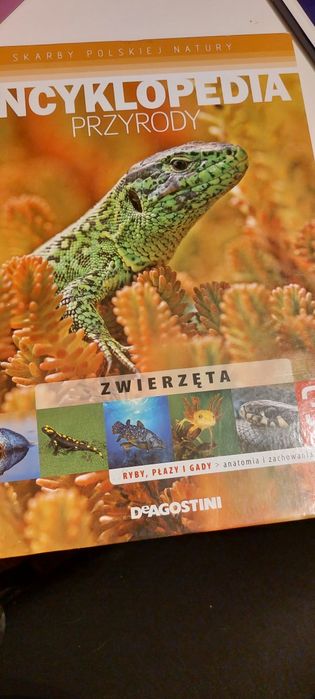 Encyklopedia przyrody