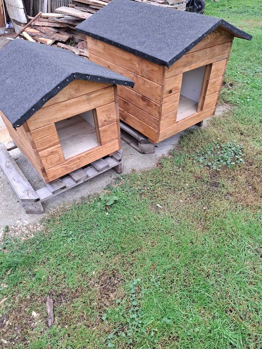 Budy i domki dla psa i kota