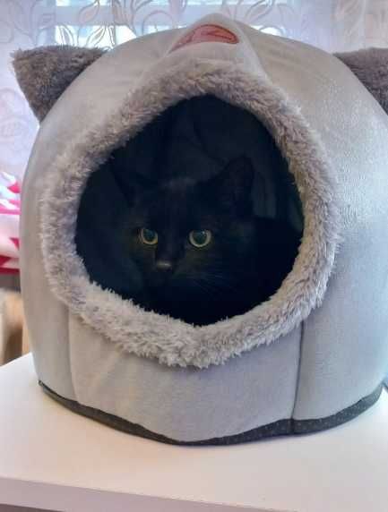 Domek dla kota mini psa zwierząt Legowisko Pluszowe na zimę ocieplane