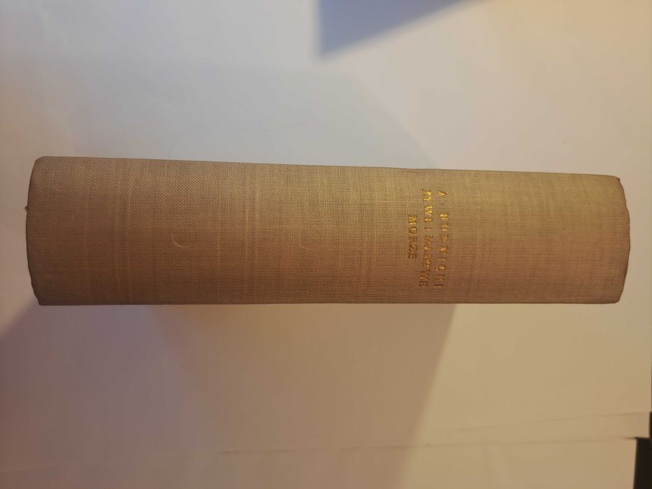 Adolf Rudnicki Żywe i martwe morze