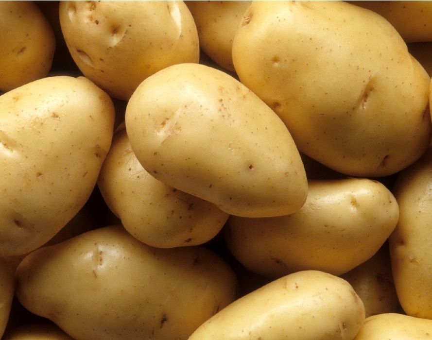 batata vermelha ou Branca olho rosa