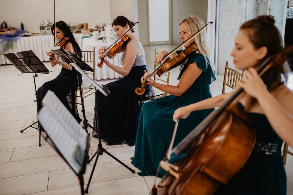 Skrzypce Slub I Wesele Olx Pl