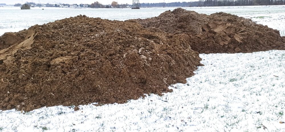 Pomiot kurzy z do wozem na pole