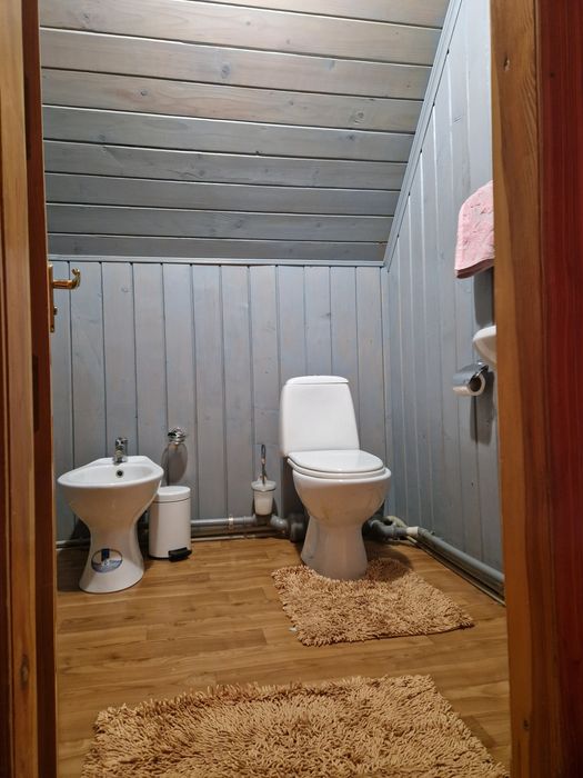 Подобова оренда котеджу у с.Майда