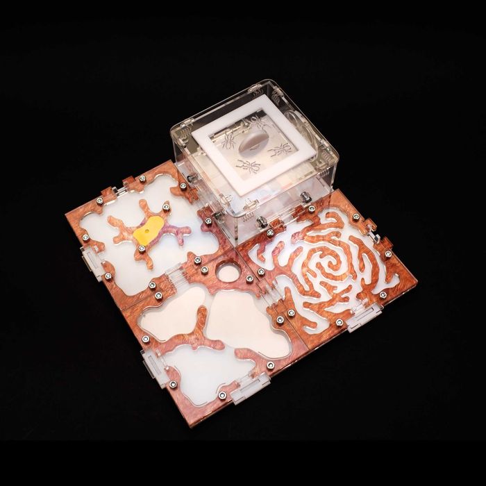 4М-М, Мурашина ферма Різдво Мурашник Формикарий Муравьиная ферма