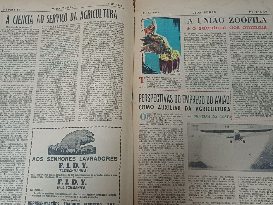 Jornais Vida Rural (anos 50)