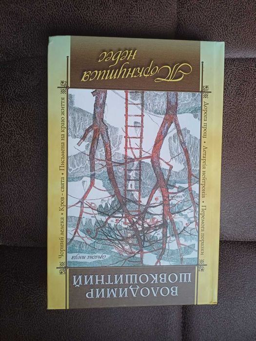 В. Шовкошитний. Торкнуться небес