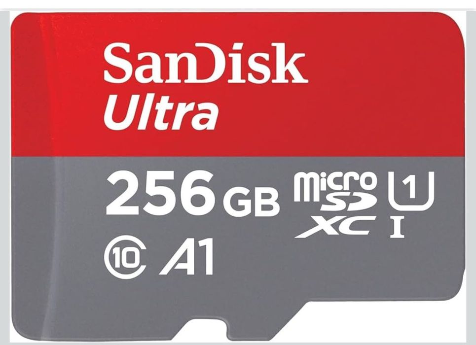 Nintendo Switch Lite + EA FC 25 + SD 256 GB - Como novo!