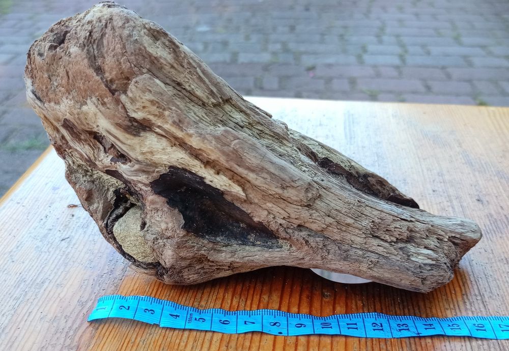 Морена коряга в акваріум