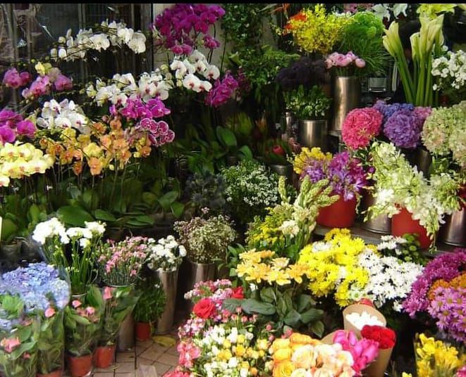 Serviços de jardinagem