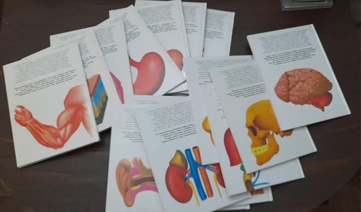 Enciclopédia Juvenil "Era uma vez...O Corpo Humano"  Livros e DVDs