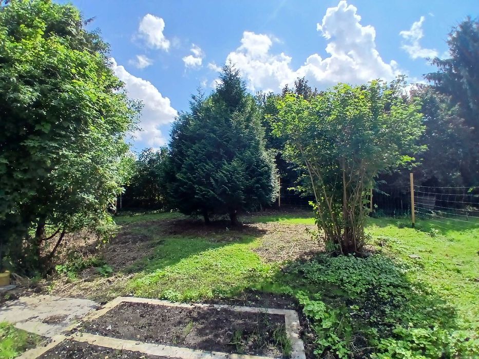 Ogródek działkowy