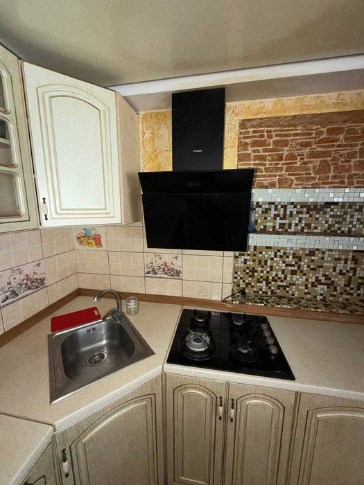 Шикарний будинок з терасою ,  яких мало, вкладено багато коштів !