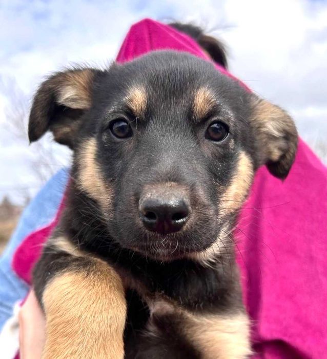 Луна - Самая Лучшая Девочка на Свете, 3 мес