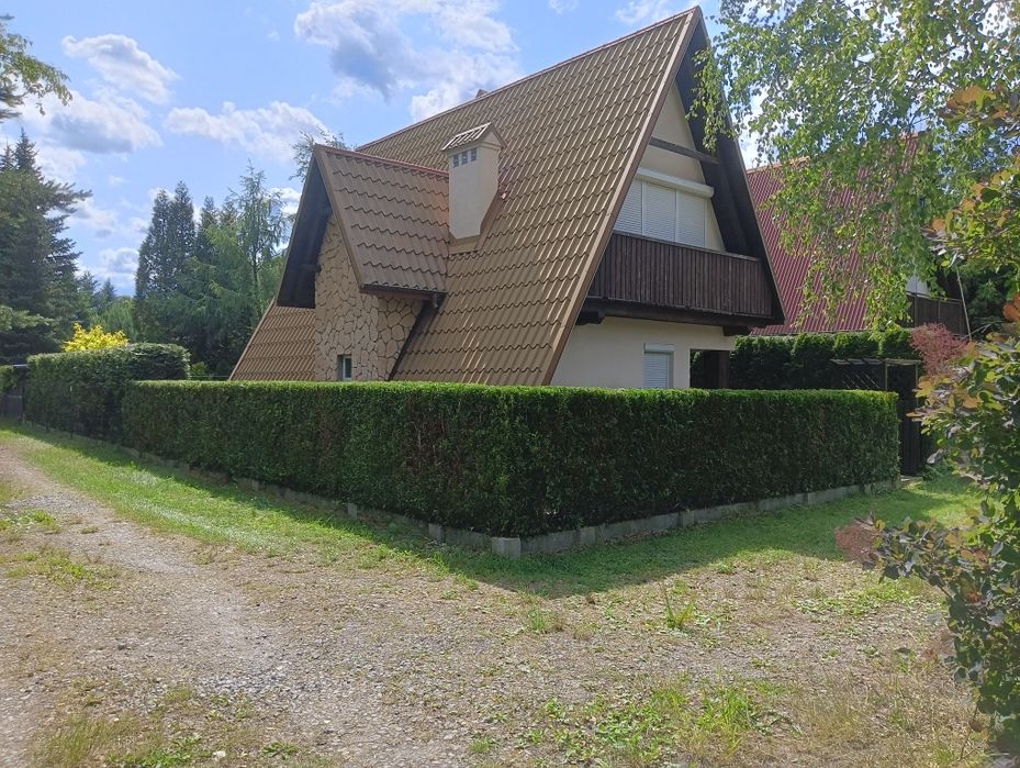 Przycinanie żywopłotow, usługi ogrodnicze