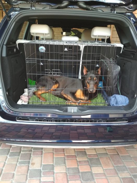 Клітка для тварин, бокс, манеж