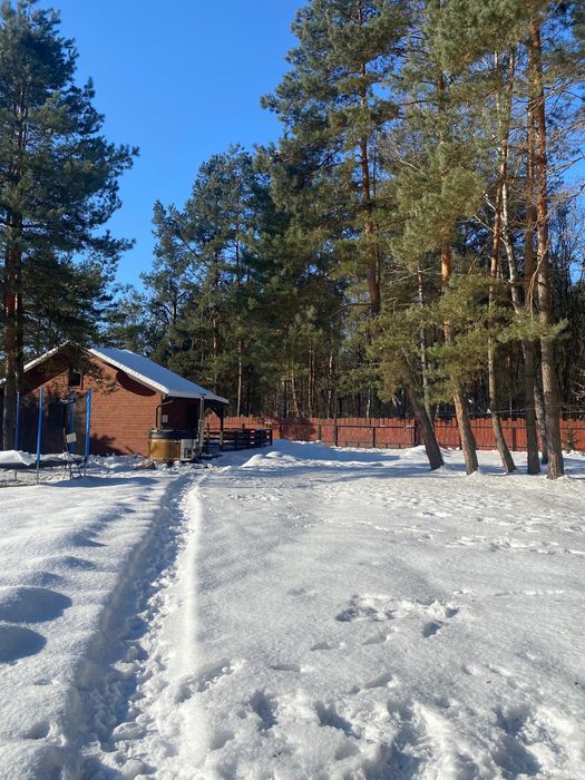 Domek pod lasem Radawa BALIA