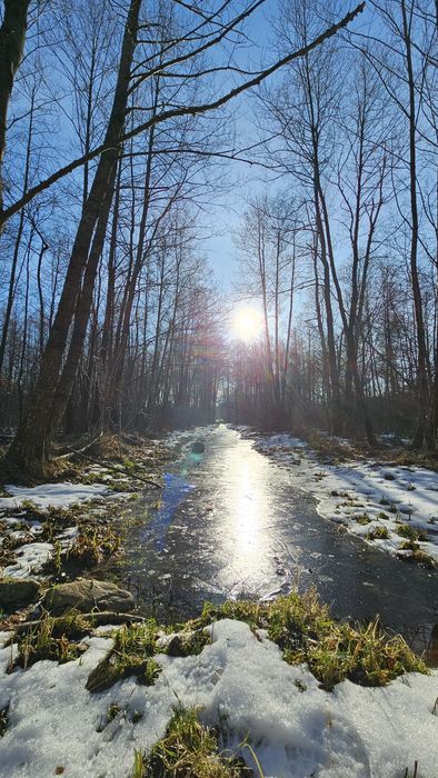 Sprzedam działkę budowlaną na Mazurach, las, rzeczka, blisko jeziora - Widok 2