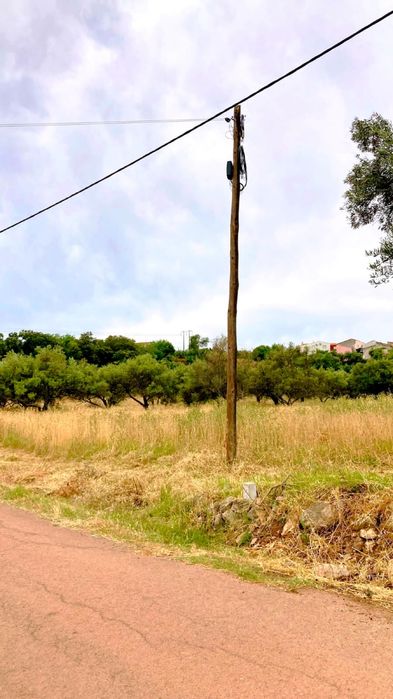 Terreno Rustico São Brás com Agua