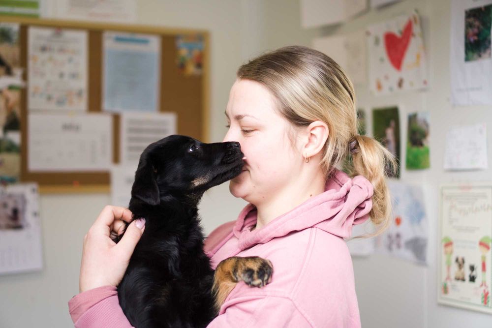 Szczeniak szuka domu!