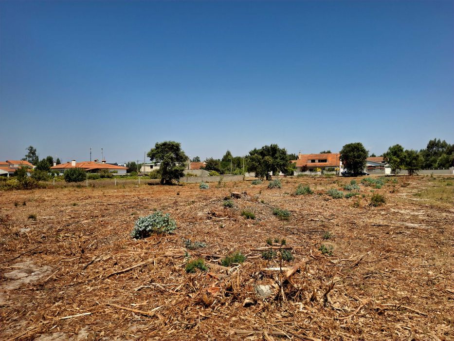 Terreno Espaçoso em Mira