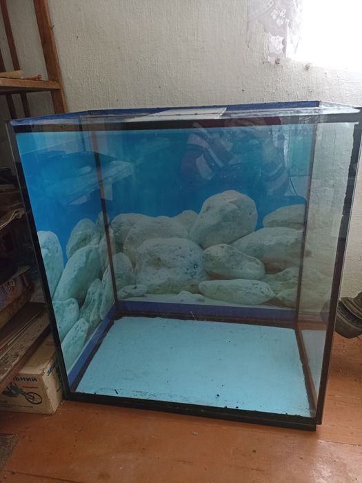 Продам Акваріум !!! Висота 79 довжина   65,5 ширина 40 на 183 літра