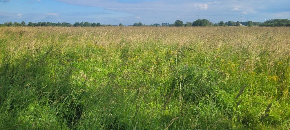 Działka blisko morza