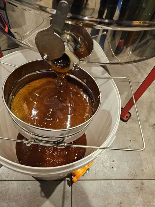 Miód pszczel z własnej pasieki  wielokwiat spadziowy