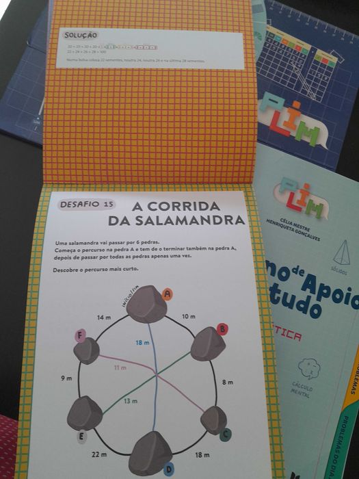 4 Ano - Caderno apoio matematica+ materiais