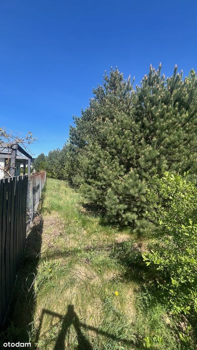 Działka budowlana - Jachranka