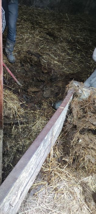 Навоз конный коровячий