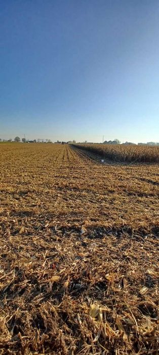 Sprzedam ziemie 5,83h