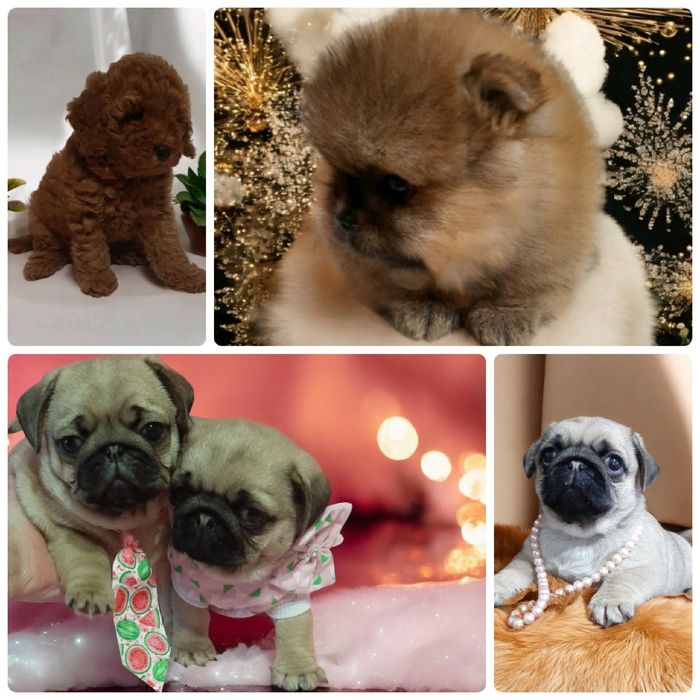 Найкращі для найкращих!