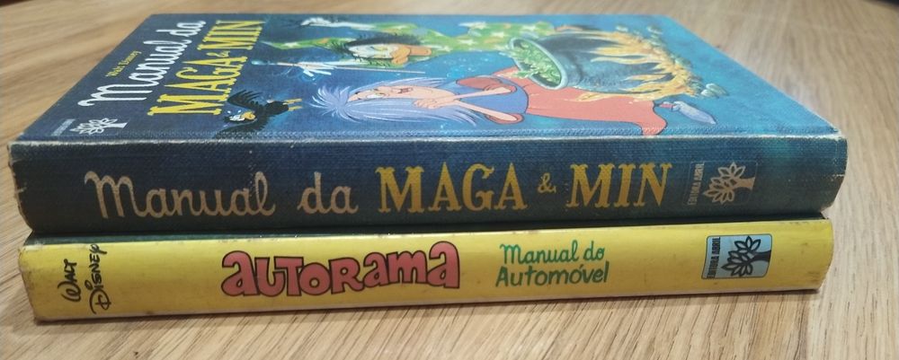Conjunto de dois antigos livros Disney