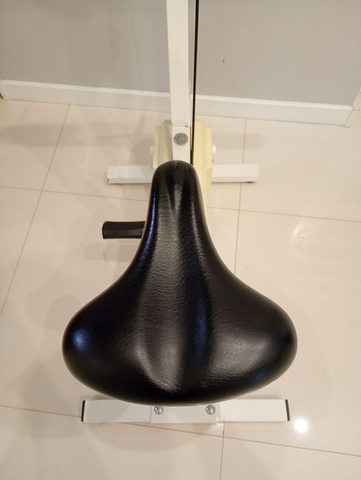 Rower treningowy stacjonarny Kettler electronic manta