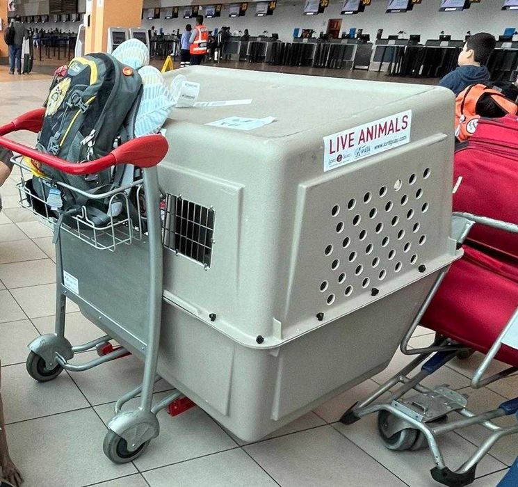 Kennel Varikenel 700