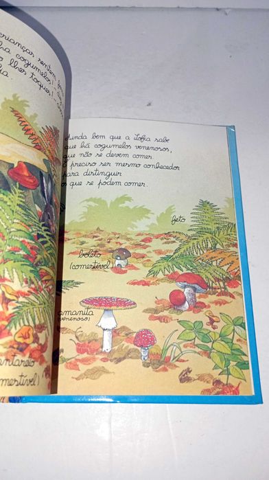 Um Passeio pela Floresta - pequena enciclopédia