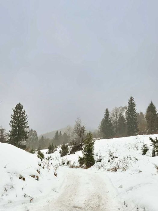 Будинок з ділянкою біля гір