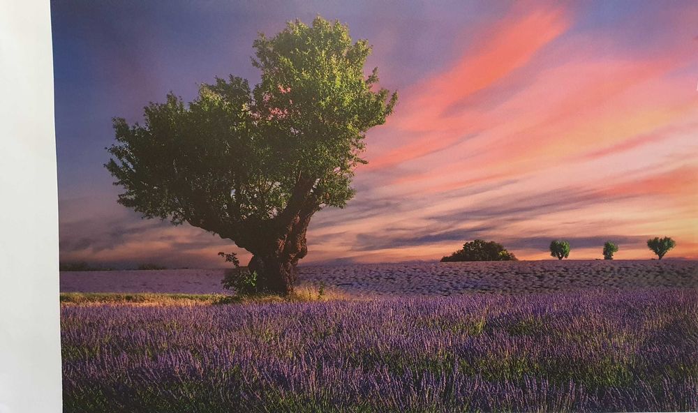 MALUJEMY Z GRACJĄ - myślisz o zmianie wystroju?